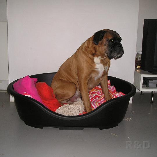 Spock 30 augustus 2005 (4).JPG - ......... ????